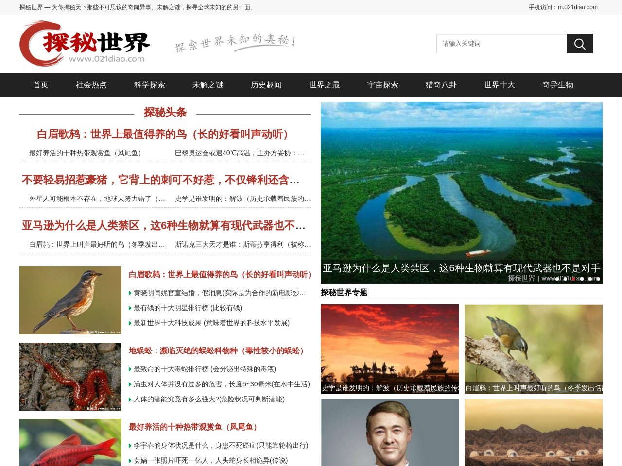 探秘世界
