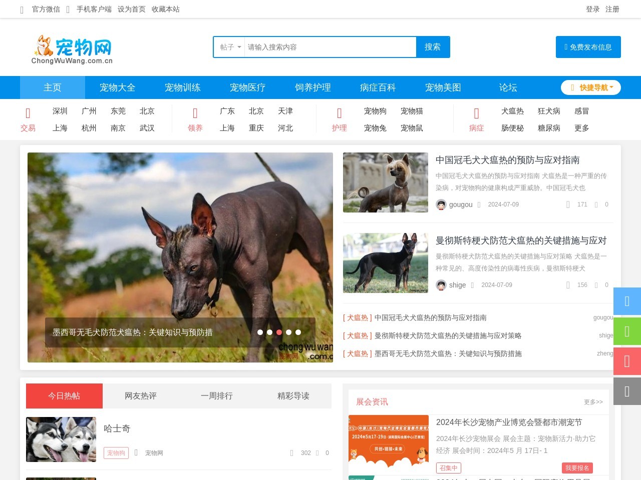 寵物網