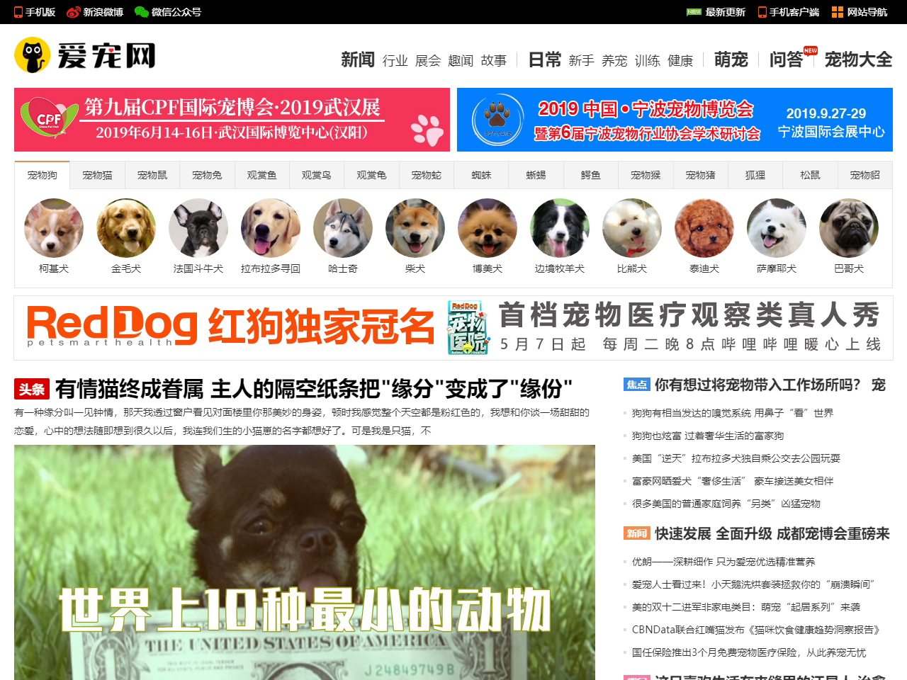 愛寵網